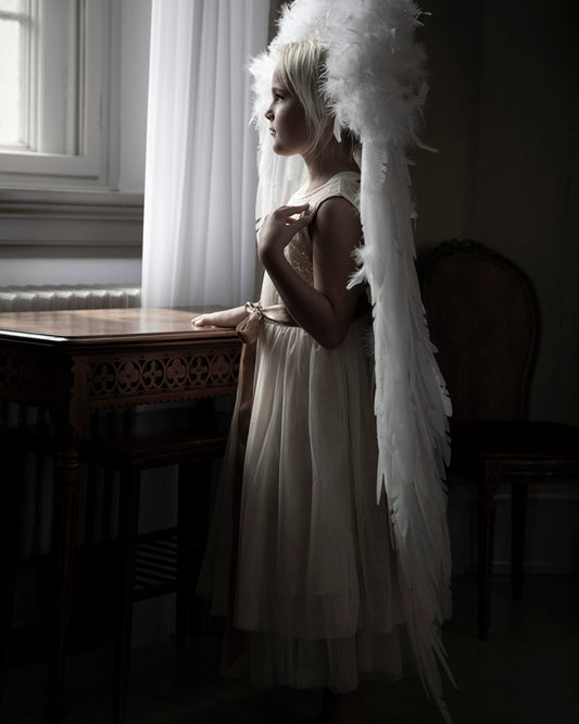 Fantasy Evelina Angel Vinger