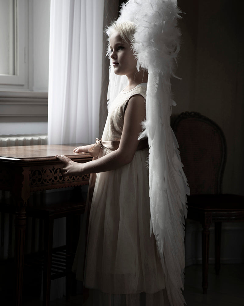 Fantasy Evelina Angel Vinger