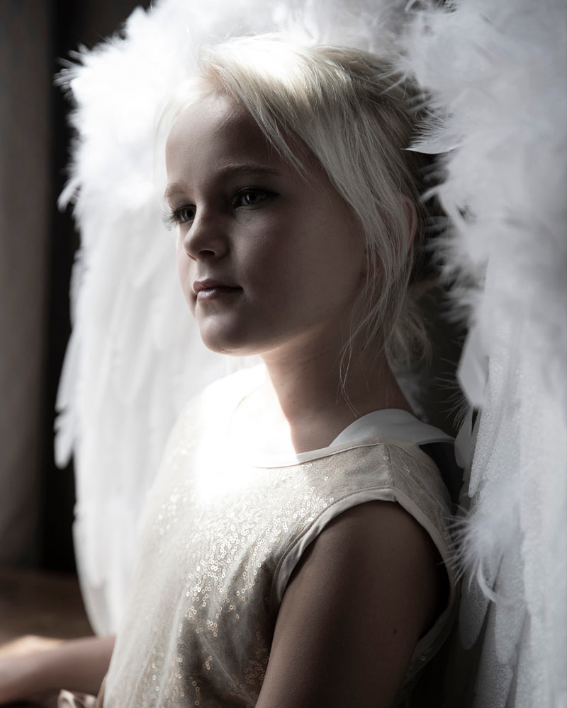 Fantasy Evelina Angel Vinger